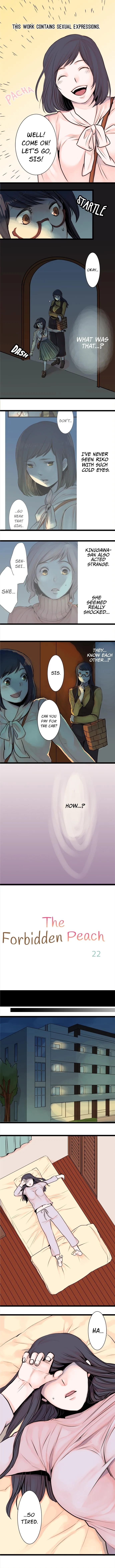 The Forbidden Peach Chapter 22 page 1 - 