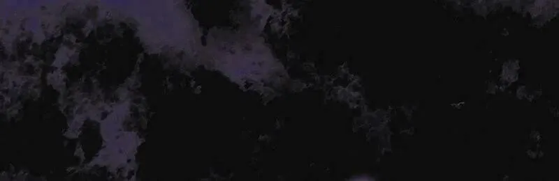 The Foreign Object was Me Chapter 9 page 64 - 