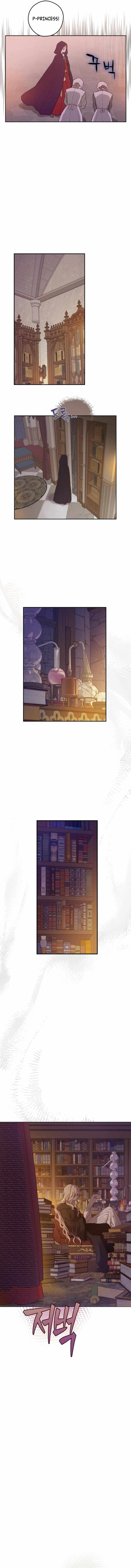 The Forgotten Field Chapter 12 page 17 - 