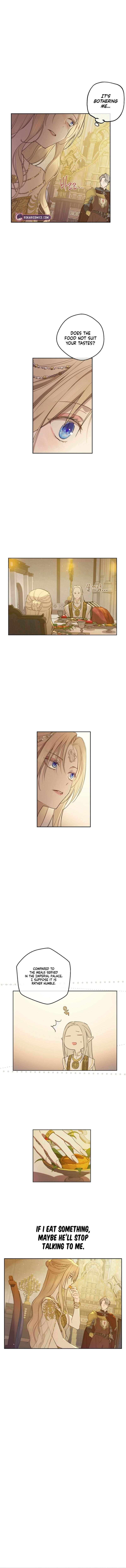 The Forgotten Field Chapter 17 page 14 - 