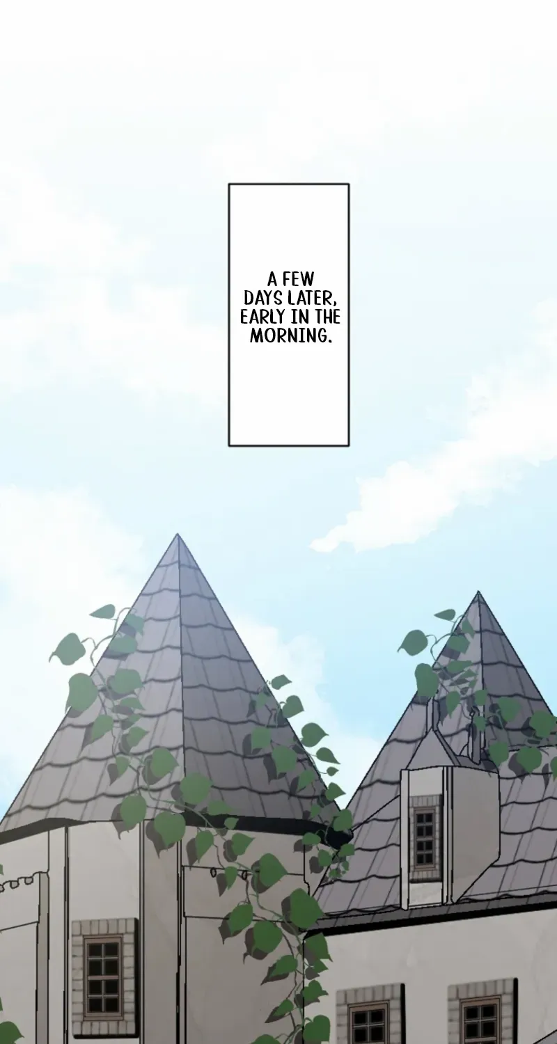 The Former Noblewoman with a Distrust for Men Decides to Help the Lustful Prince Chapter 11 page 13 - 