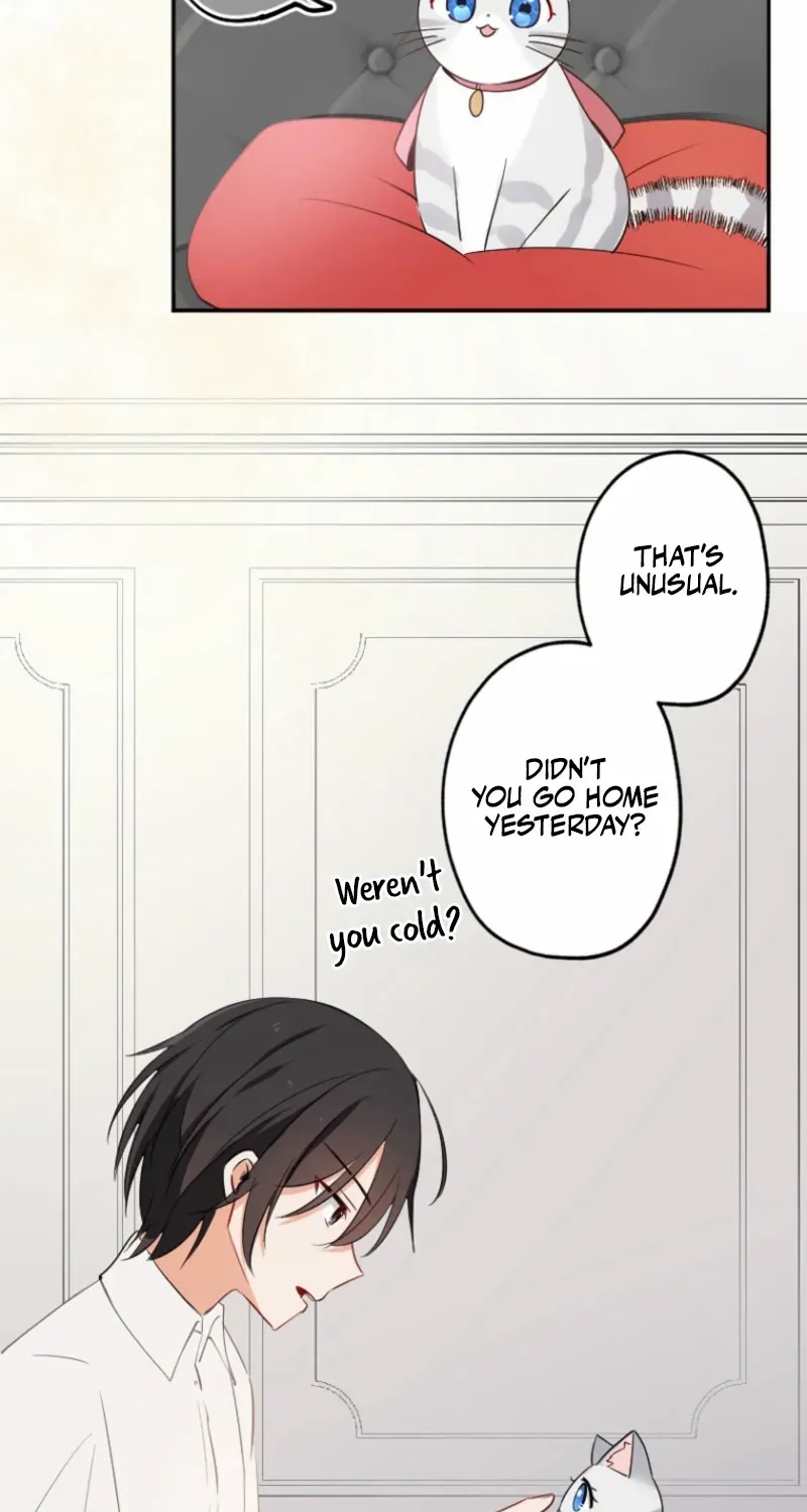 The Former Noblewoman with a Distrust for Men Decides to Help the Lustful Prince Chapter 11 page 15 - 
