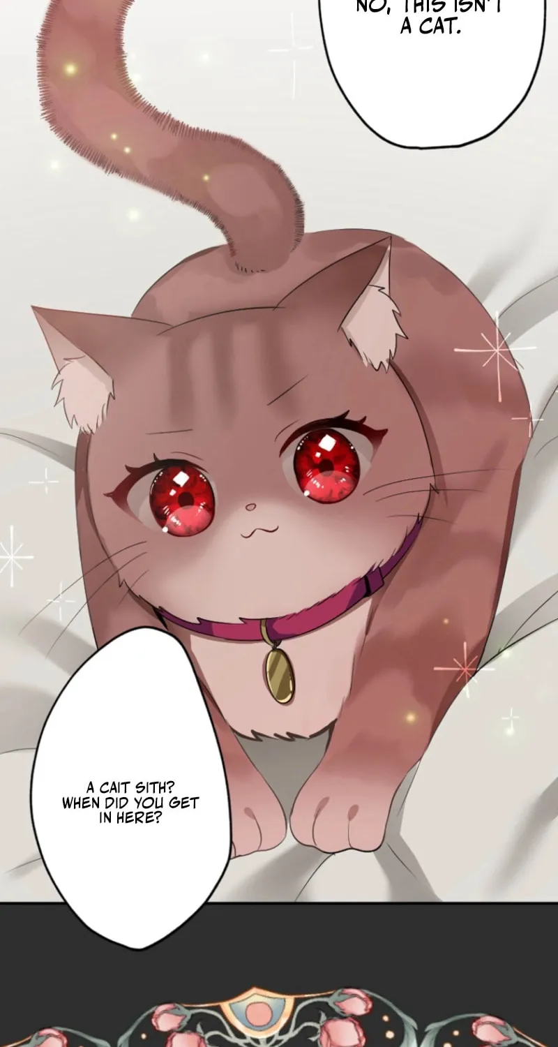 The Former Noblewoman with a Distrust for Men Decides to Help the Lustful Prince Chapter 2 page 16 - 