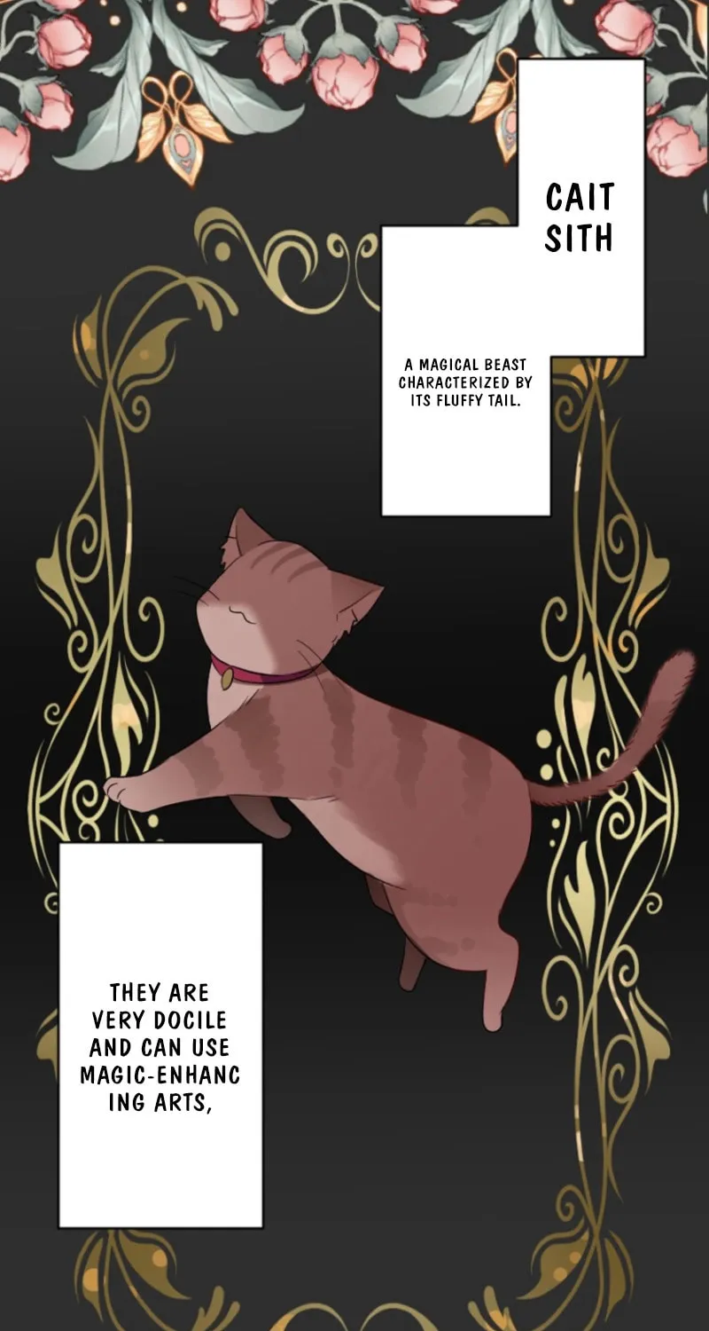 The Former Noblewoman with a Distrust for Men Decides to Help the Lustful Prince Chapter 2 page 17 - 