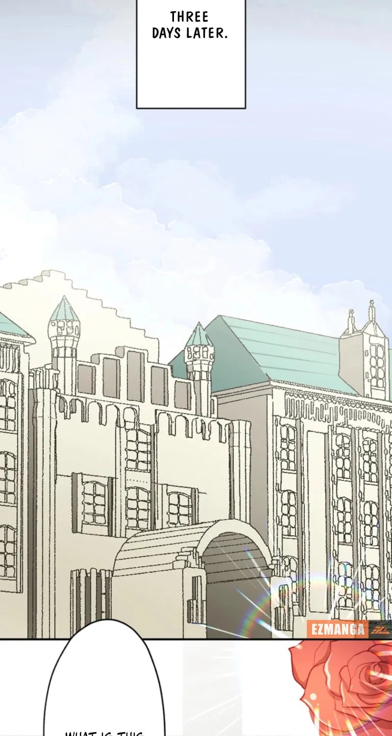 The Former Noblewoman with a Distrust for Men Decides to Help the Lustful Prince Chapter 3 page 30 - 