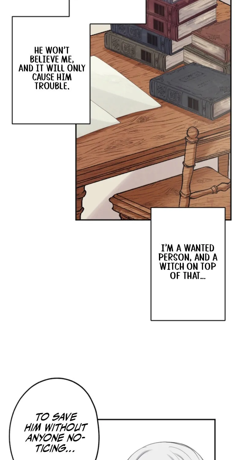 The Former Noblewoman with a Distrust for Men Decides to Help the Lustful Prince Chapter 8 page 14 - 