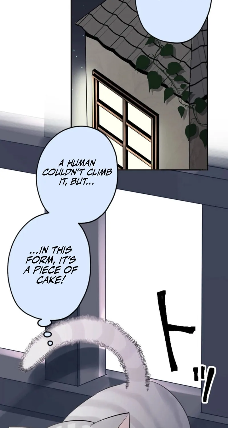 The Former Noblewoman with a Distrust for Men Decides to Help the Lustful Prince Chapter 9 page 11 - 