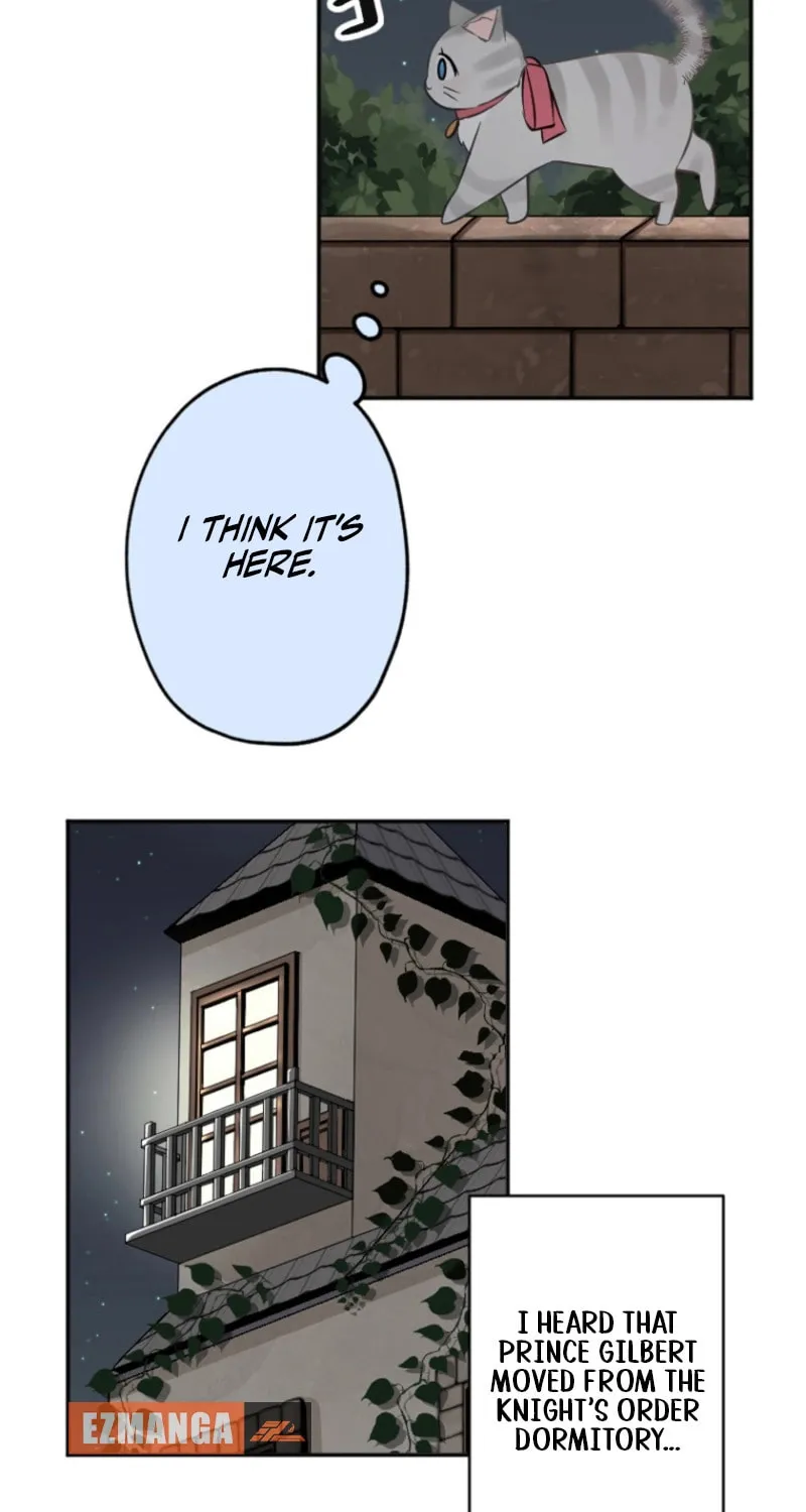 The Former Noblewoman with a Distrust for Men Decides to Help the Lustful Prince Chapter 9 page 7 - 