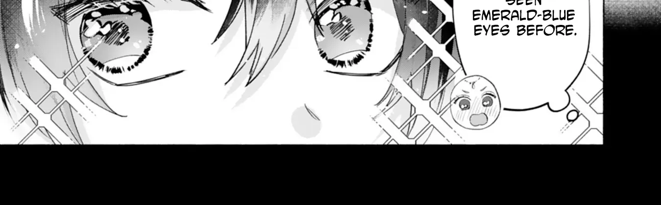 The Former Saintess and the Cold Emperor of Her Past Life Chapter 1 page 31 - 