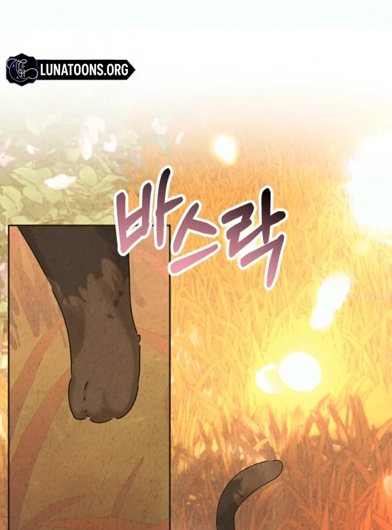 The Forsythia Mansion: First Night After the Divorce Chapter 0 page 21 - 