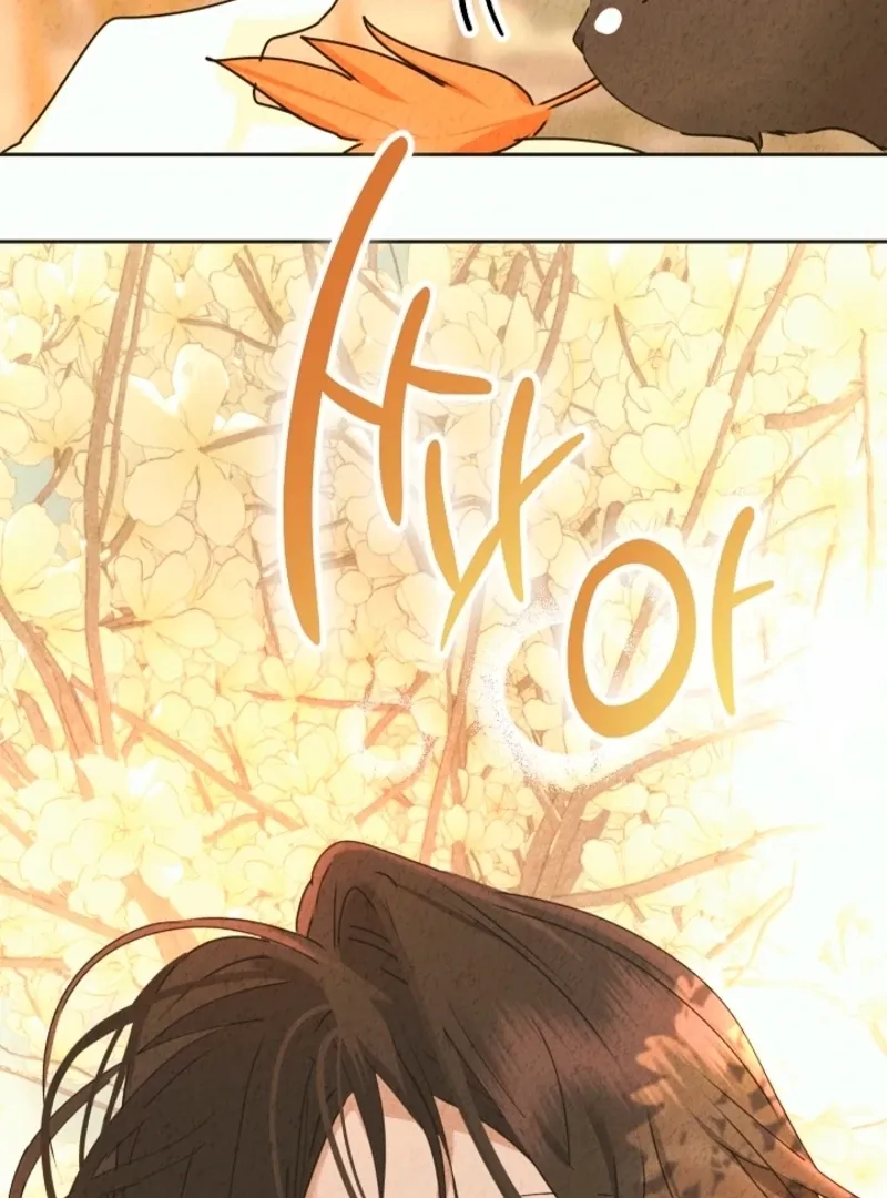 The Forsythia Mansion: First Night After the Divorce Chapter 0 page 25 - 