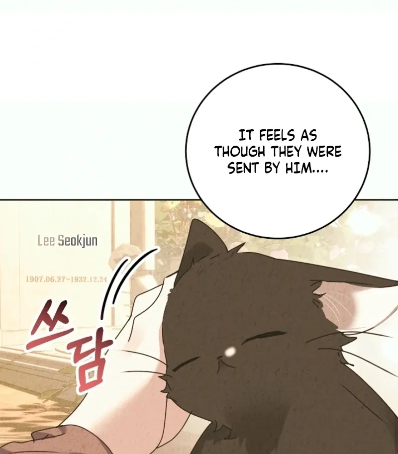 The Forsythia Mansion: First Night After the Divorce Chapter 0 page 27 - 