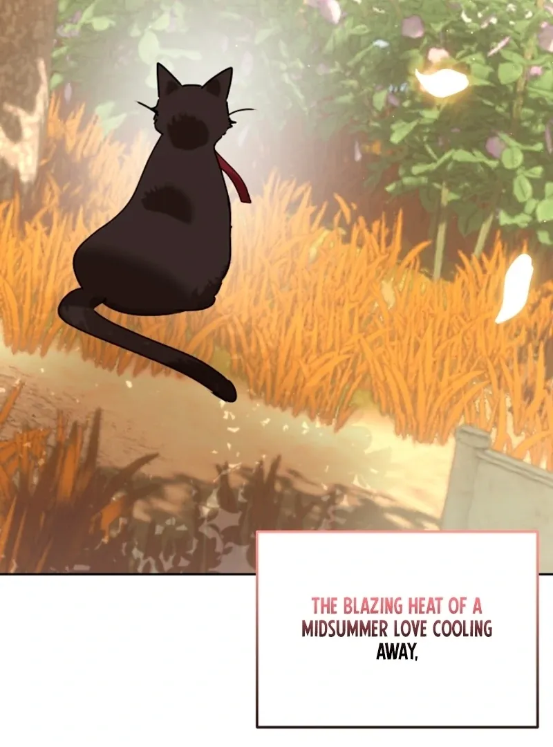The Forsythia Mansion: First Night After the Divorce Chapter 0 page 36 - 