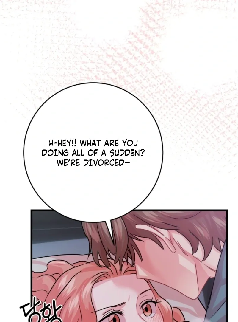 The Forsythia Mansion: First Night After the Divorce Chapter 1 page 169 - 
