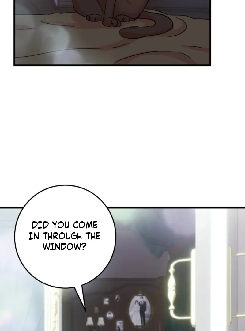 The Forsythia Mansion: First Night After the Divorce Chapter 3 page 131 - 