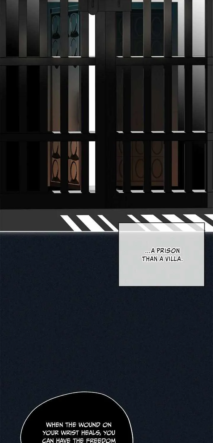 The Foul Chapter 104 page 79 - 