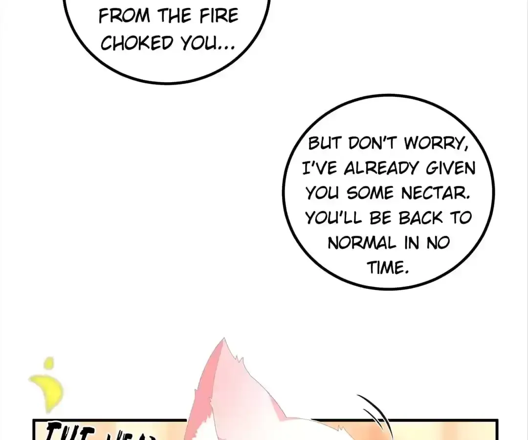 The Fox Concubine Chapter 109 page 56 - 