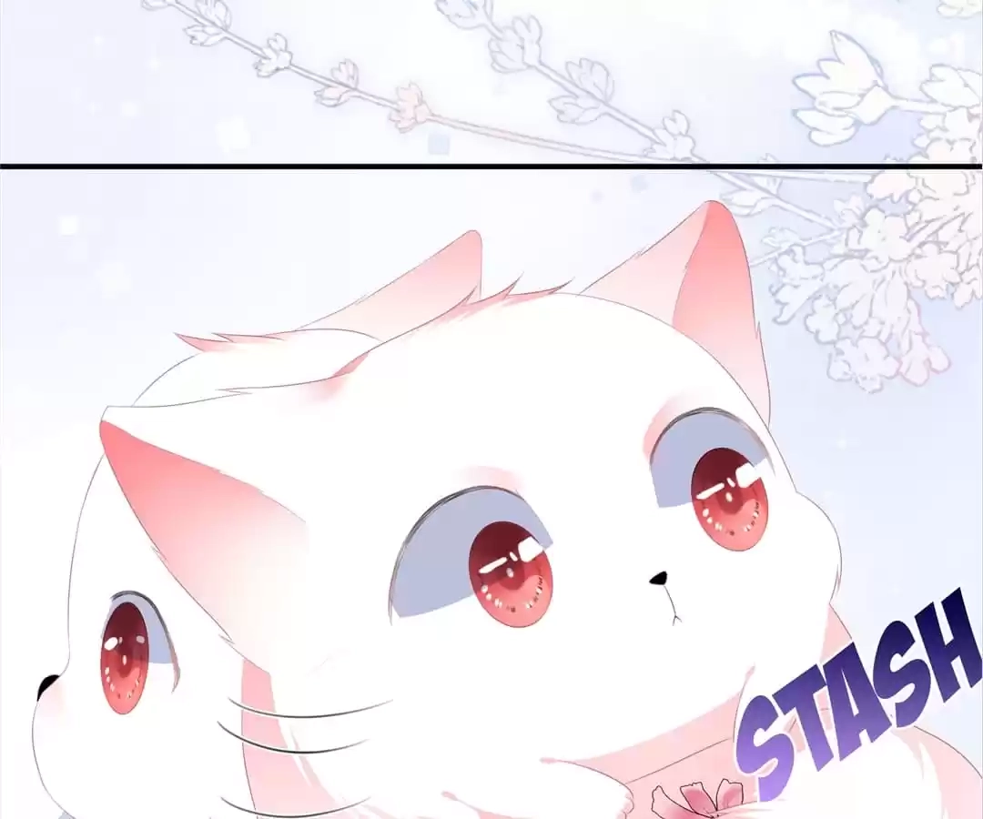 The Fox Concubine Chapter 11 page 18 - 