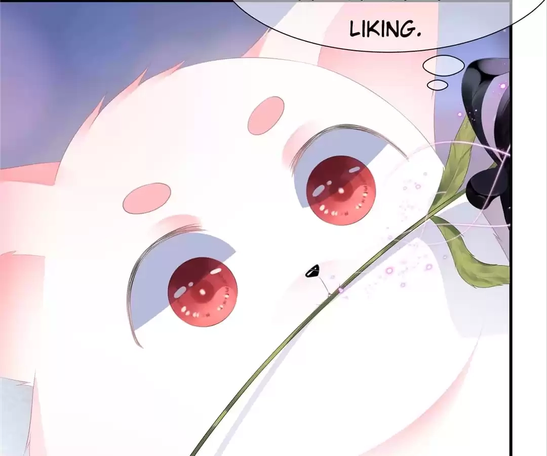 The Fox Concubine Chapter 11 page 6 - 