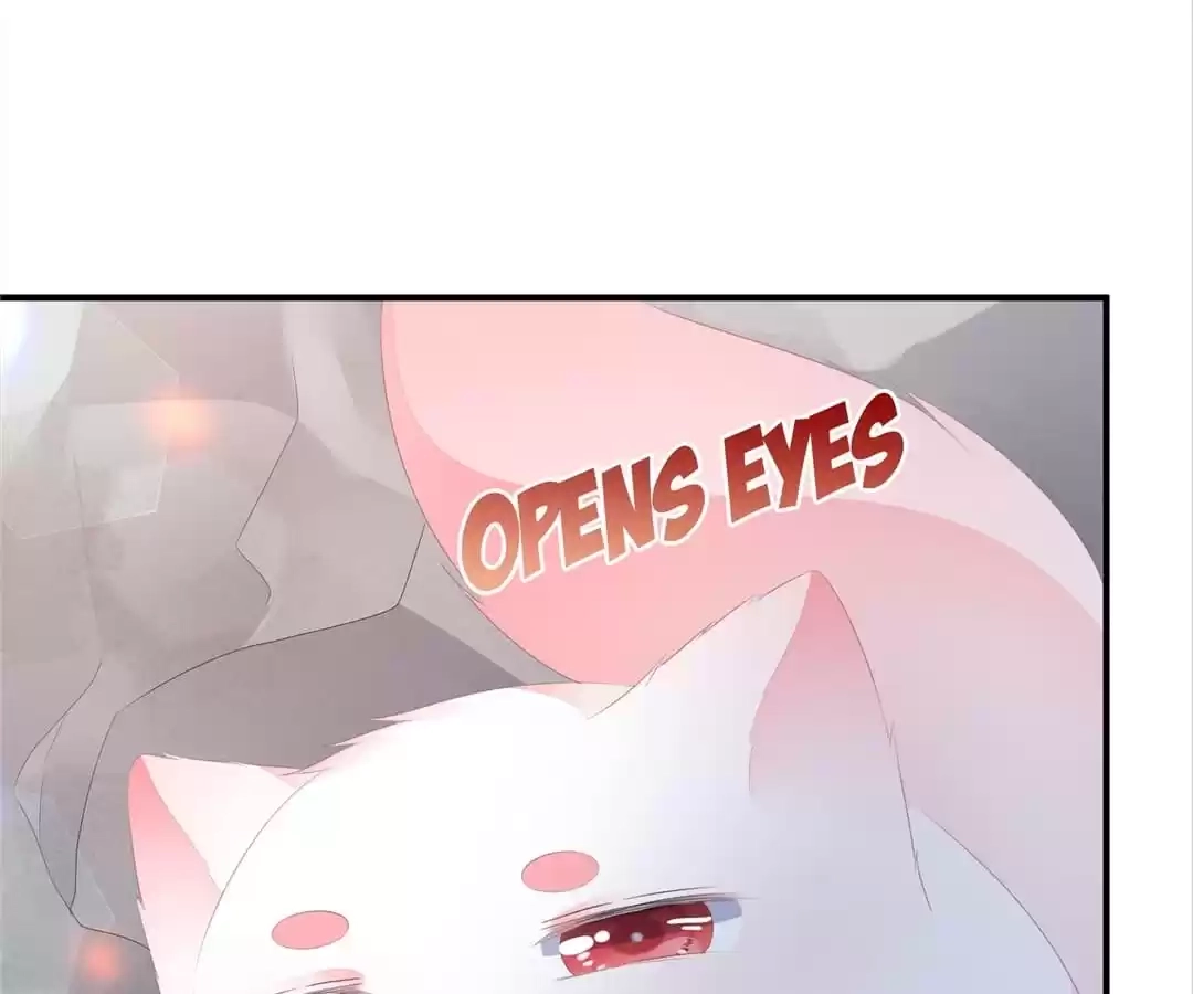 The Fox Concubine Chapter 16 page 4 - 