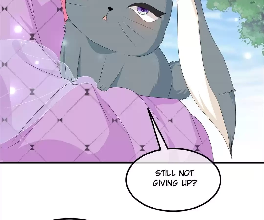 The Fox Concubine Chapter 68 page 25 - 