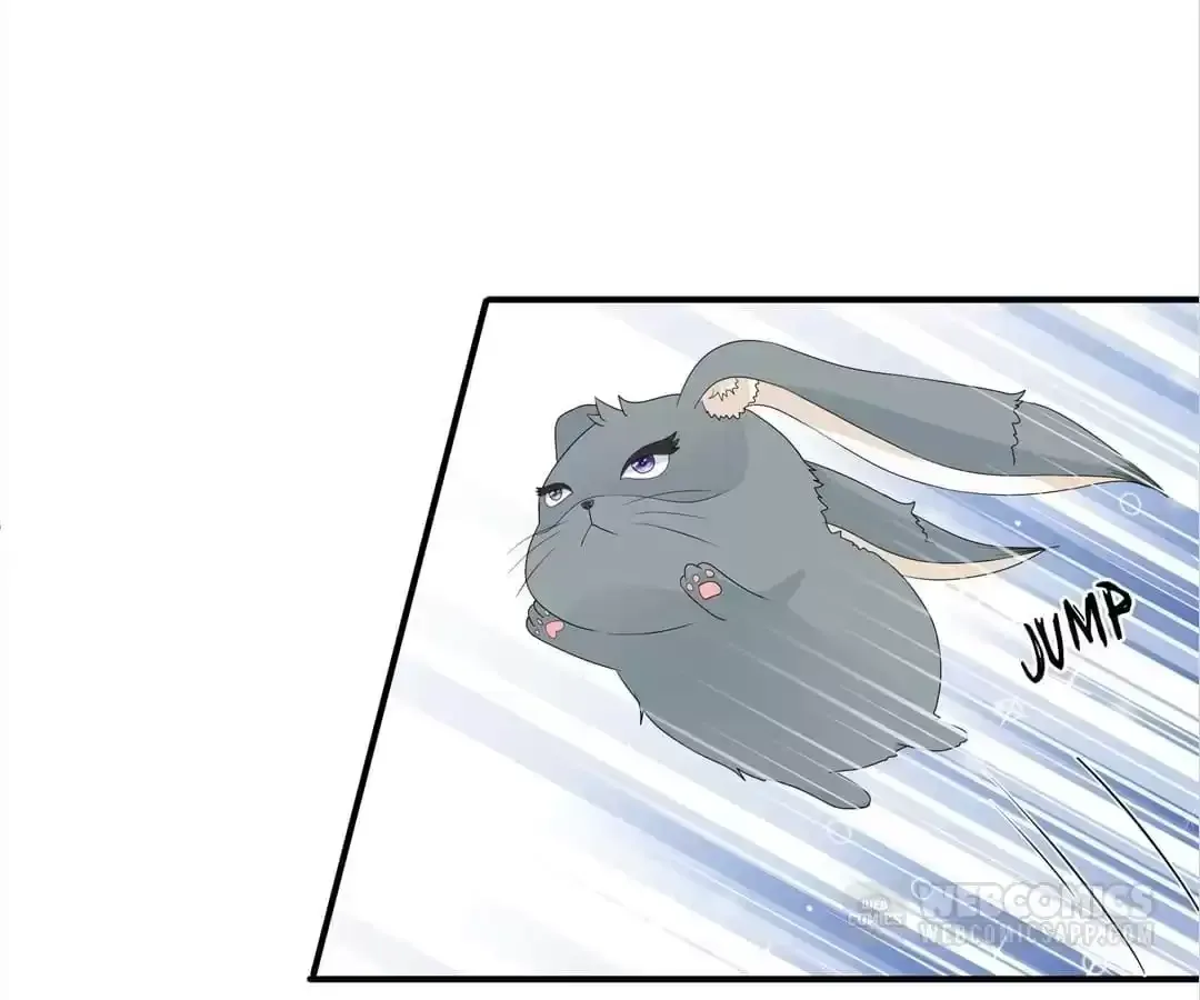 The Fox Concubine Chapter 70 page 3 - 