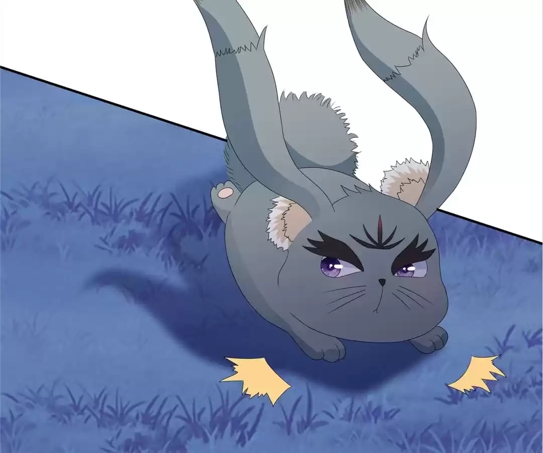 The Fox Concubine Chapter 79 page 34 - 