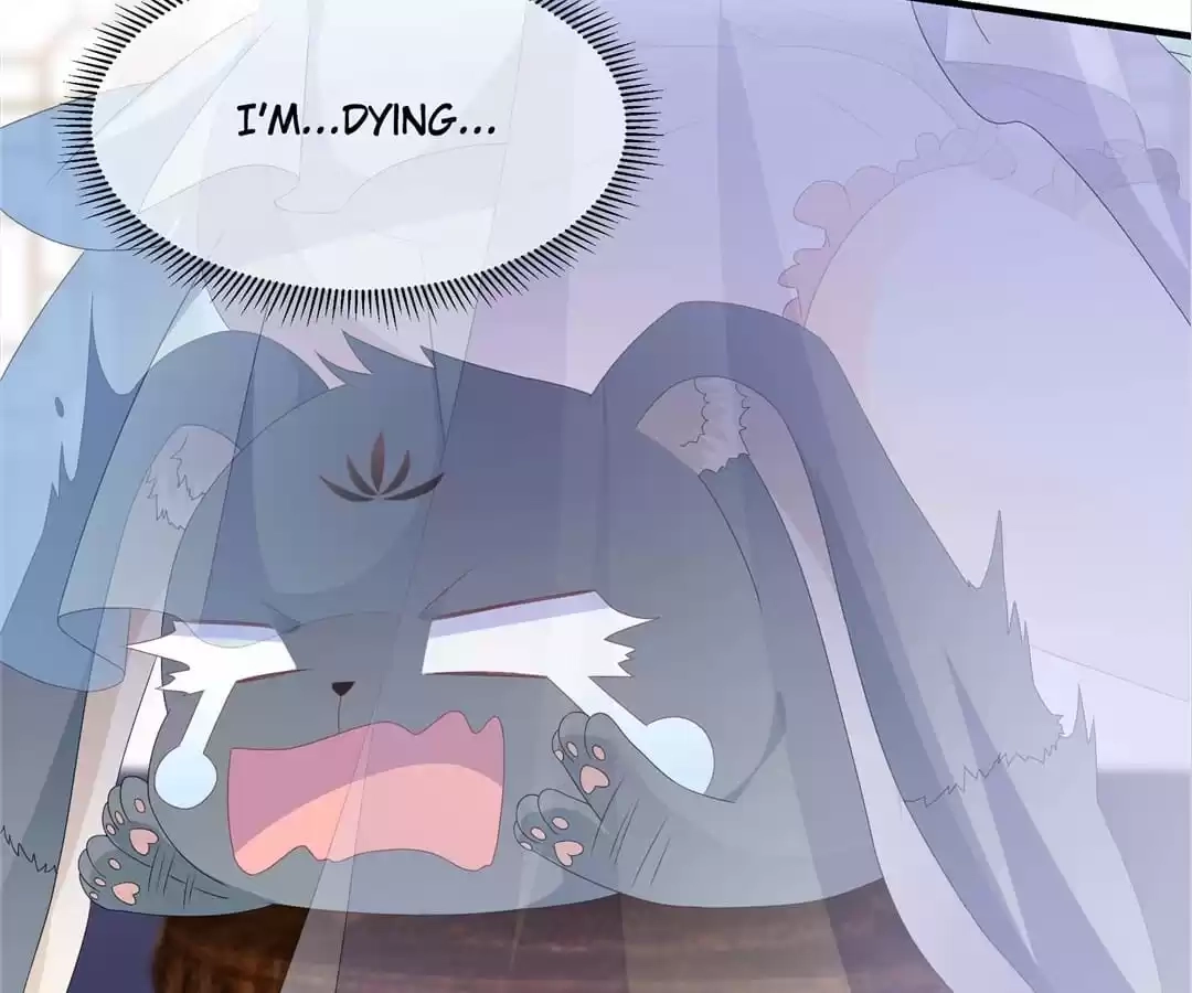 The Fox Concubine Chapter 82 page 37 - 