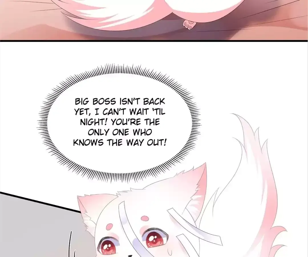 The Fox Concubine Chapter 84 page 35 - 