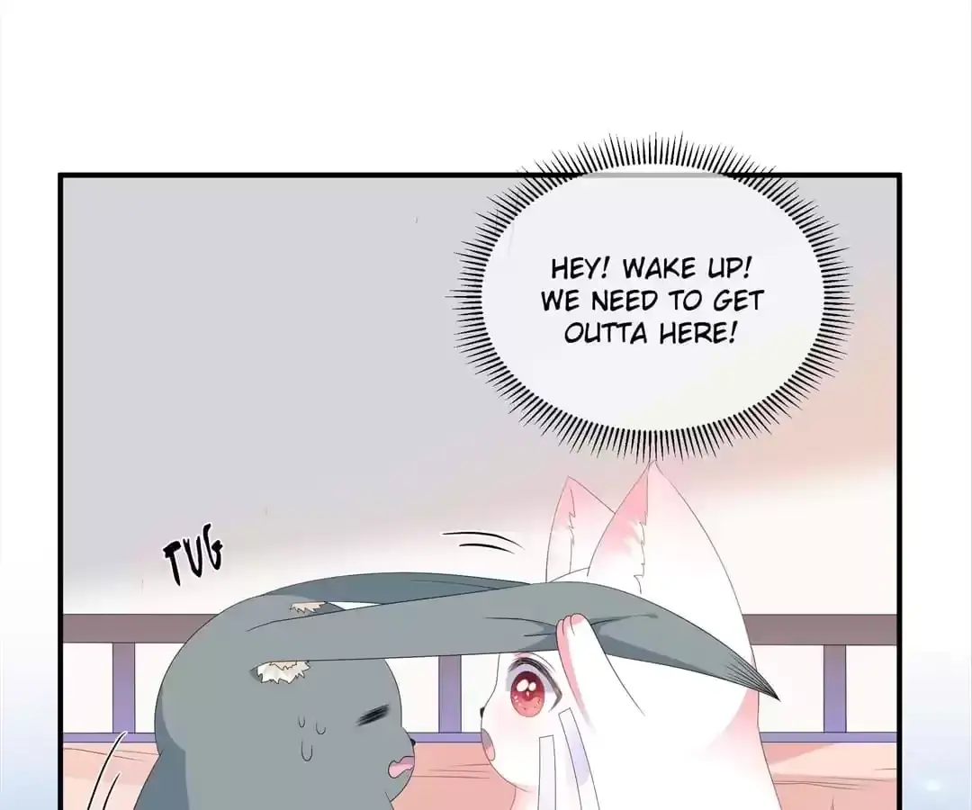 The Fox Concubine Chapter 84 page 37 - 