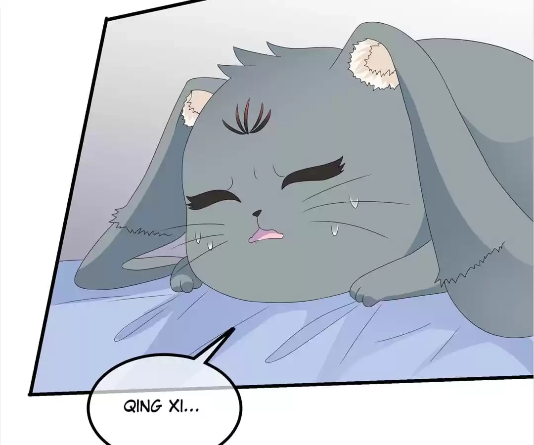 The Fox Concubine Chapter 88 page 68 - 