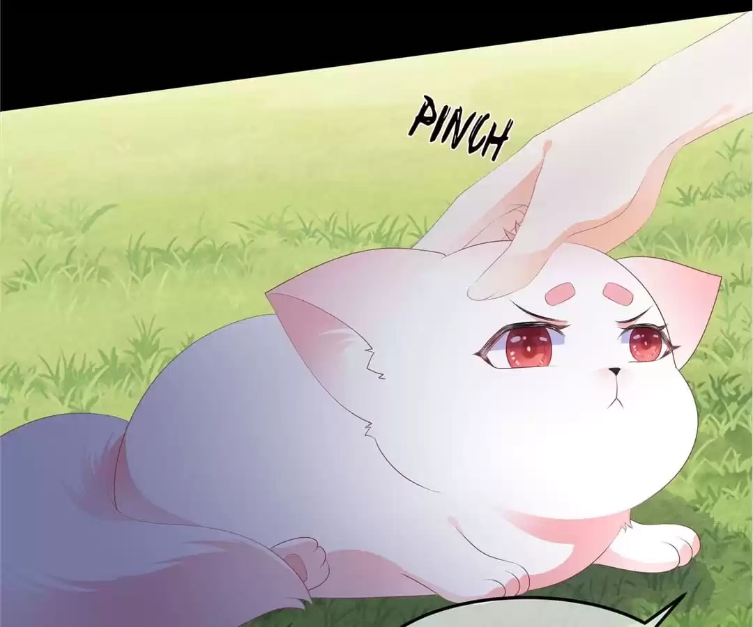 The Fox Concubine Chapter 90 page 48 - 