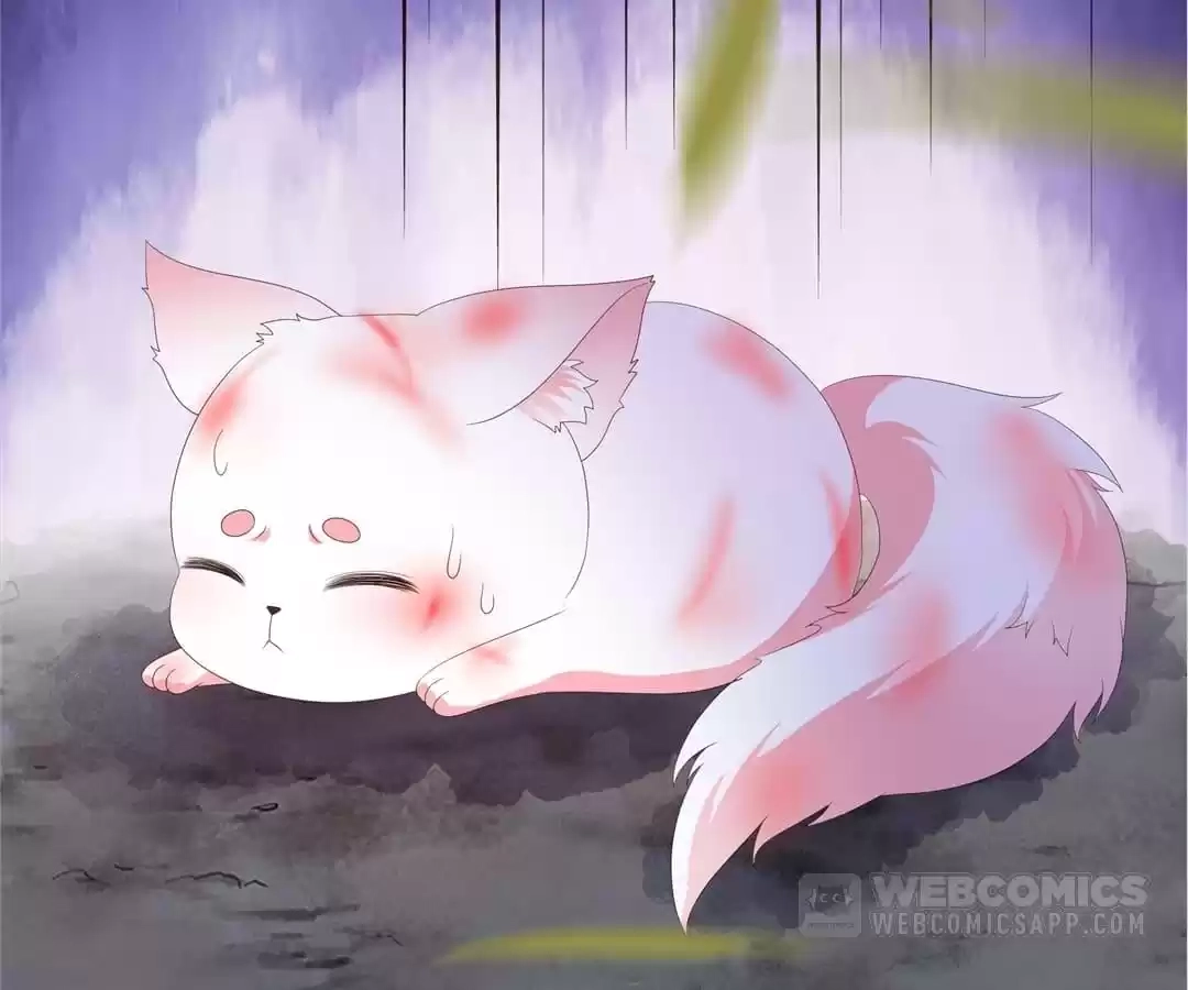The Fox Concubine Chapter 91 page 51 - 
