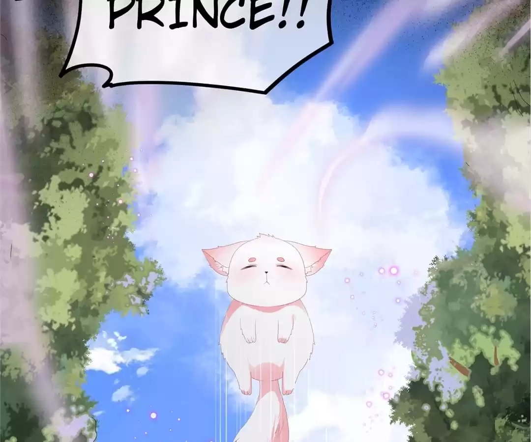 The Fox Concubine Chapter 91 page 63 - 
