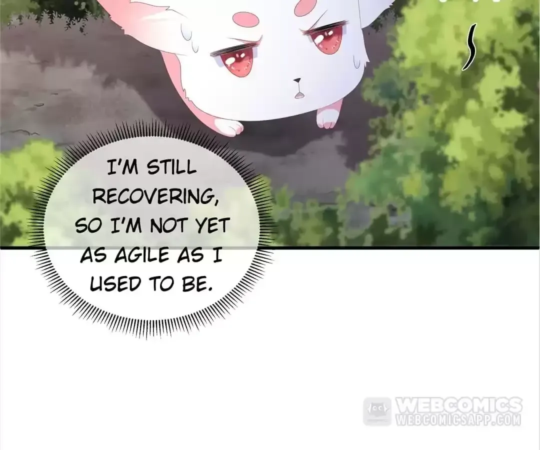 The Fox Concubine Chapter 96 page 25 - 