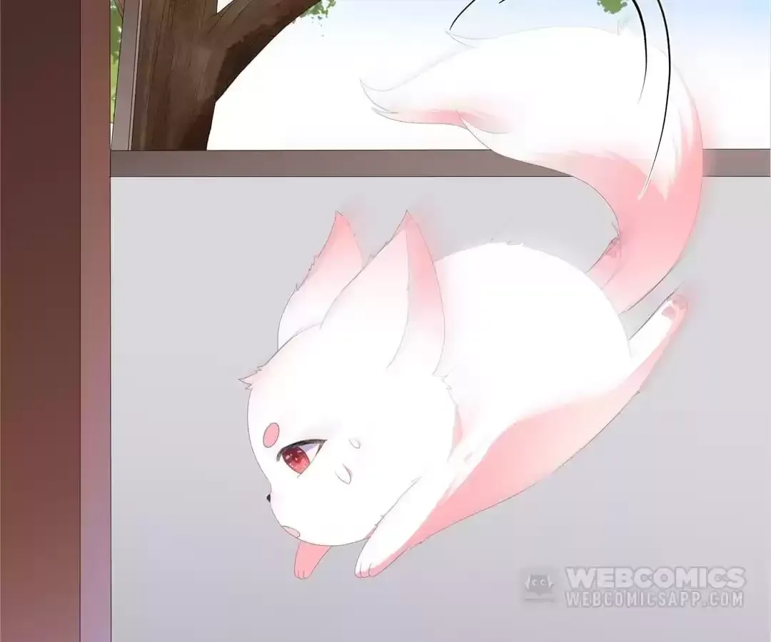 The Fox Concubine Chapter 96 page 66 - 