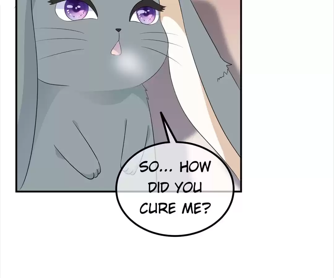 The Fox Concubine Chapter 99 page 42 - 