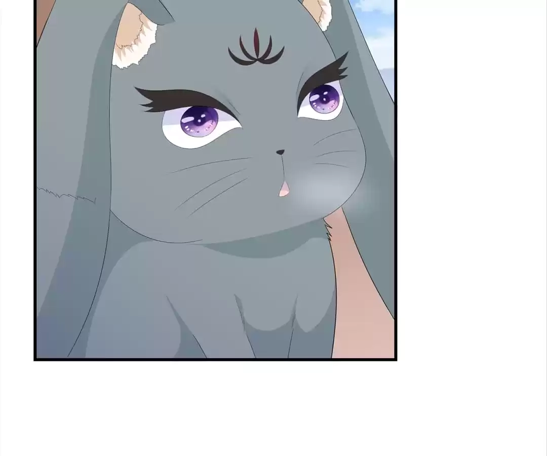 The Fox Concubine Chapter 99 page 64 - 