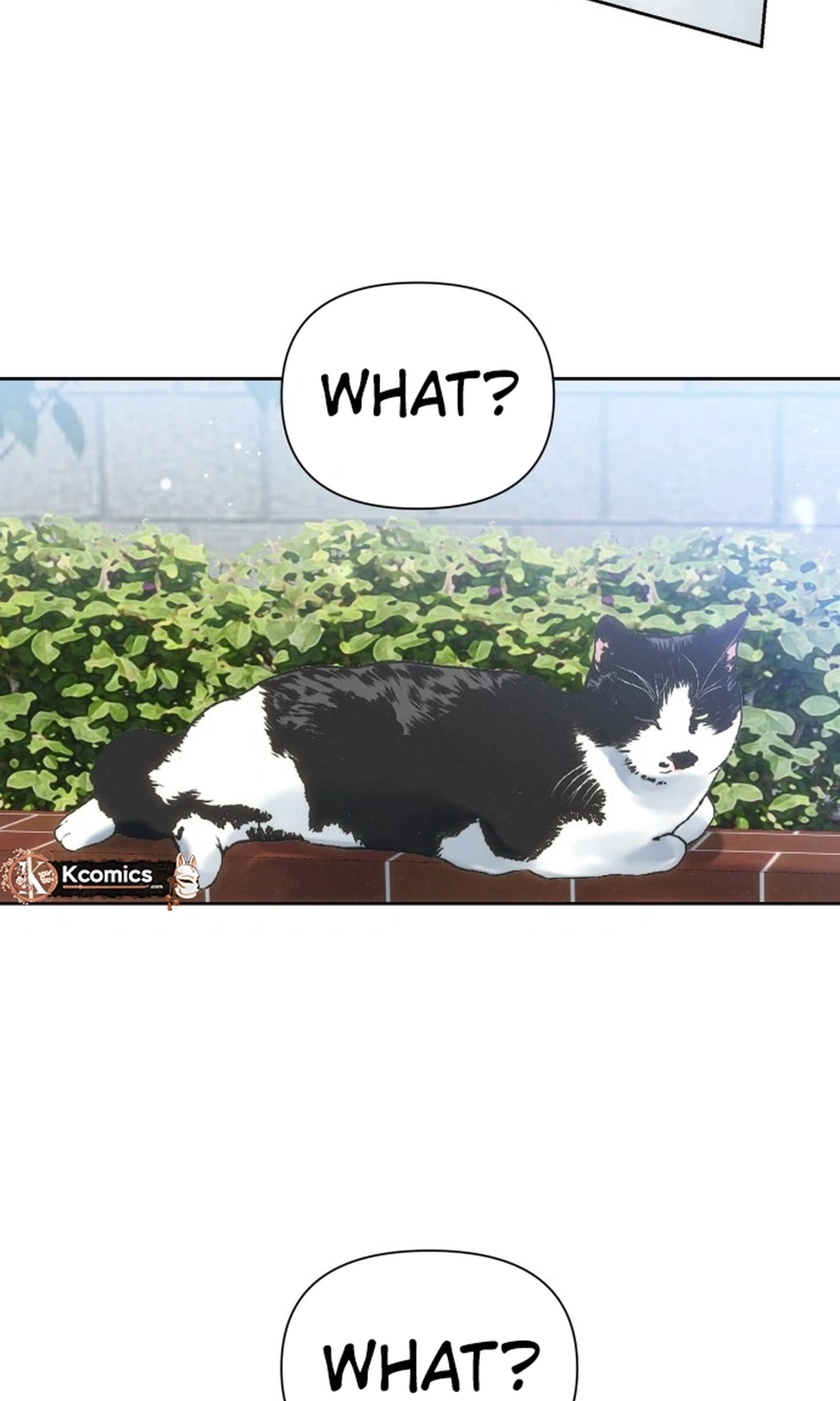 The Foxes Came to Our House Chapter 20 page 10 - 