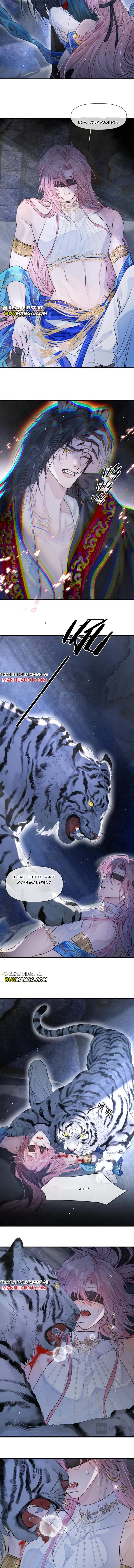 The Fragile Sparrow in the Palm Chapter 2 page 4 - 