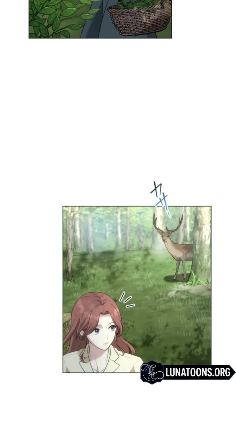 The Framed Villainess Can
