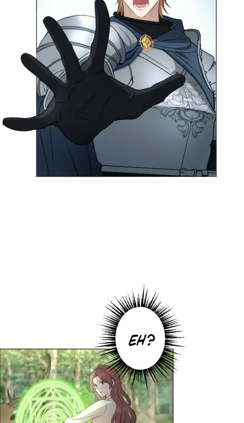 The Framed Villainess Can
