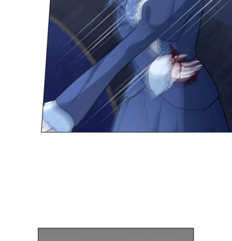 The Framed Villainess Can
