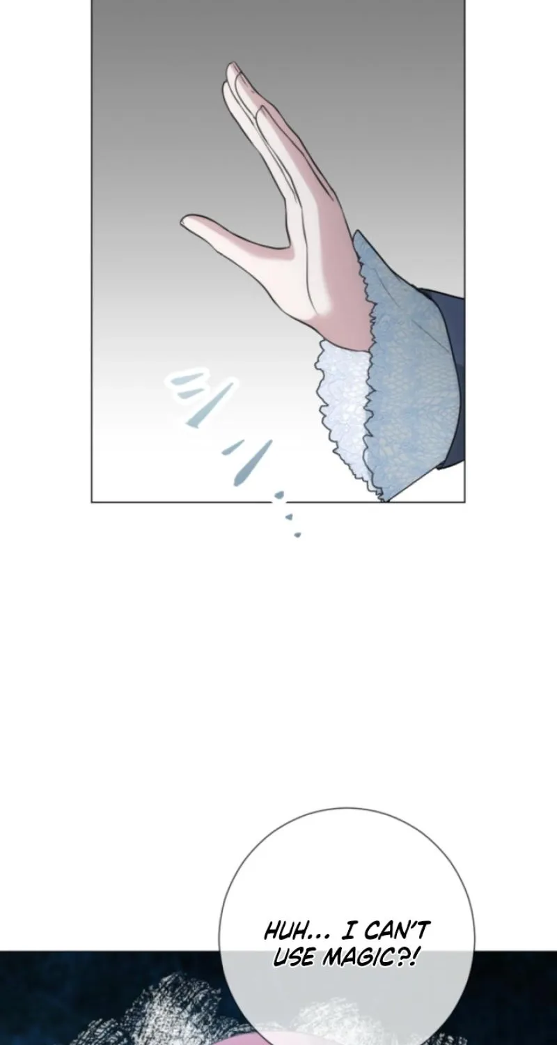 The Framed Villainess Can