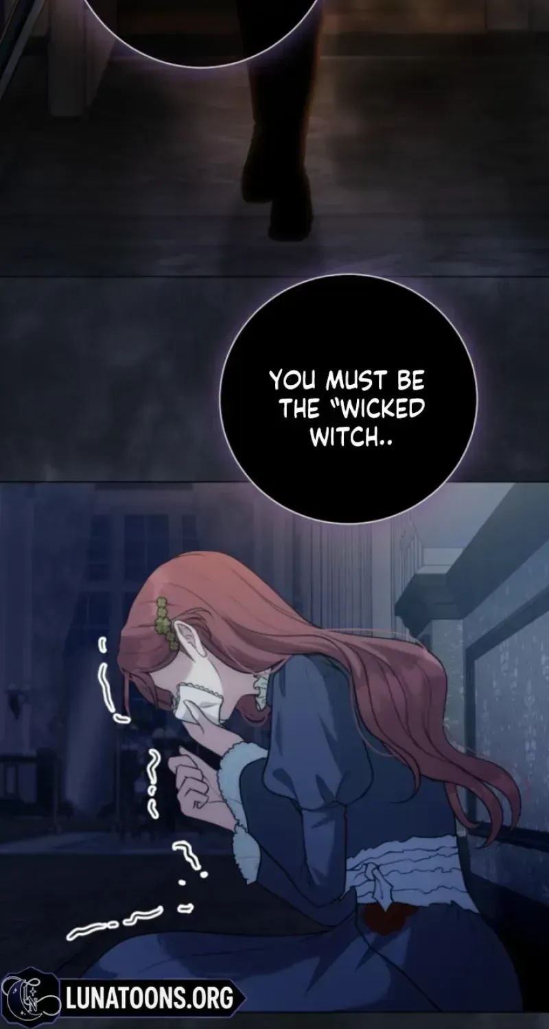 The Framed Villainess Can