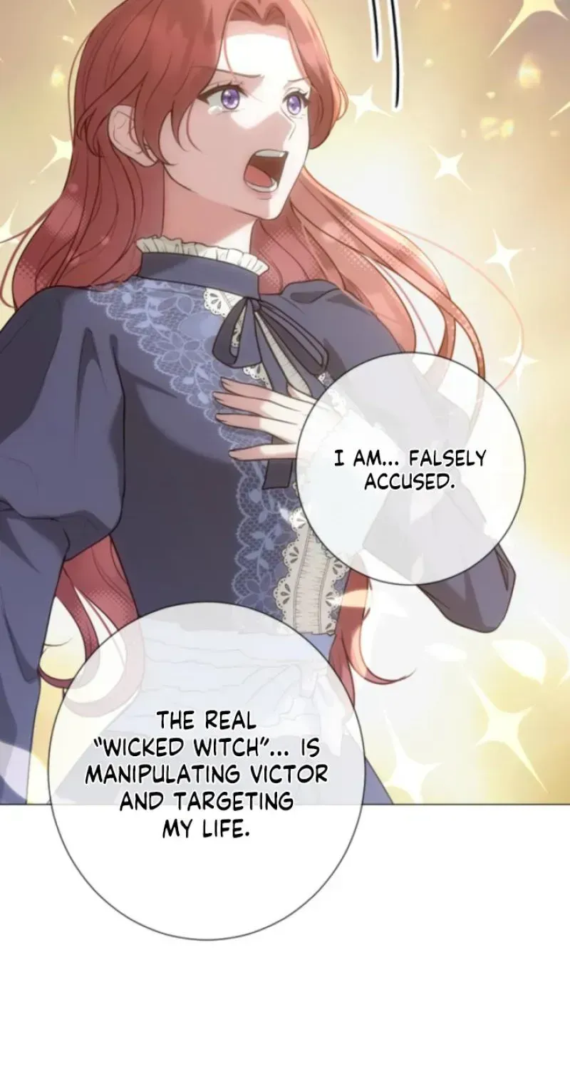 The Framed Villainess Can