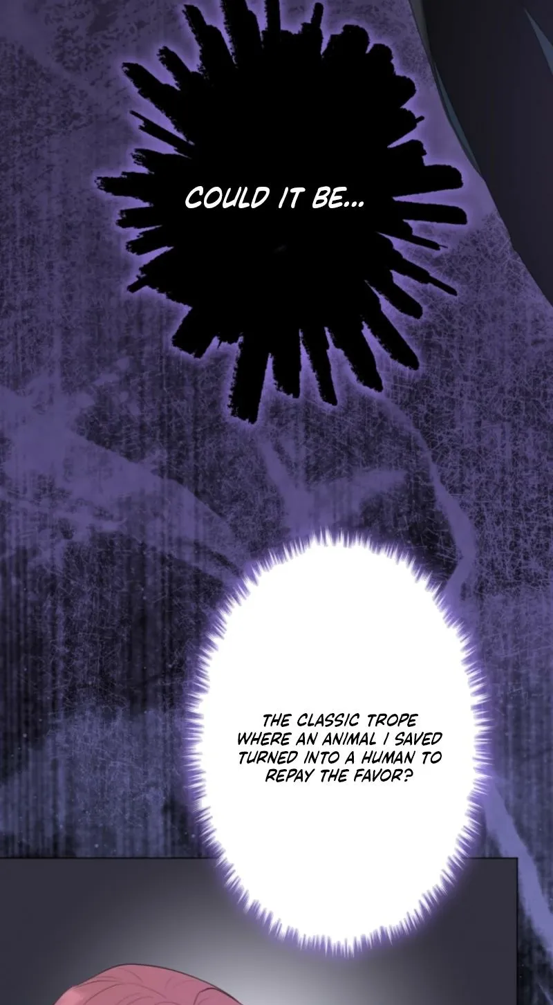 The Framed Villainess Can