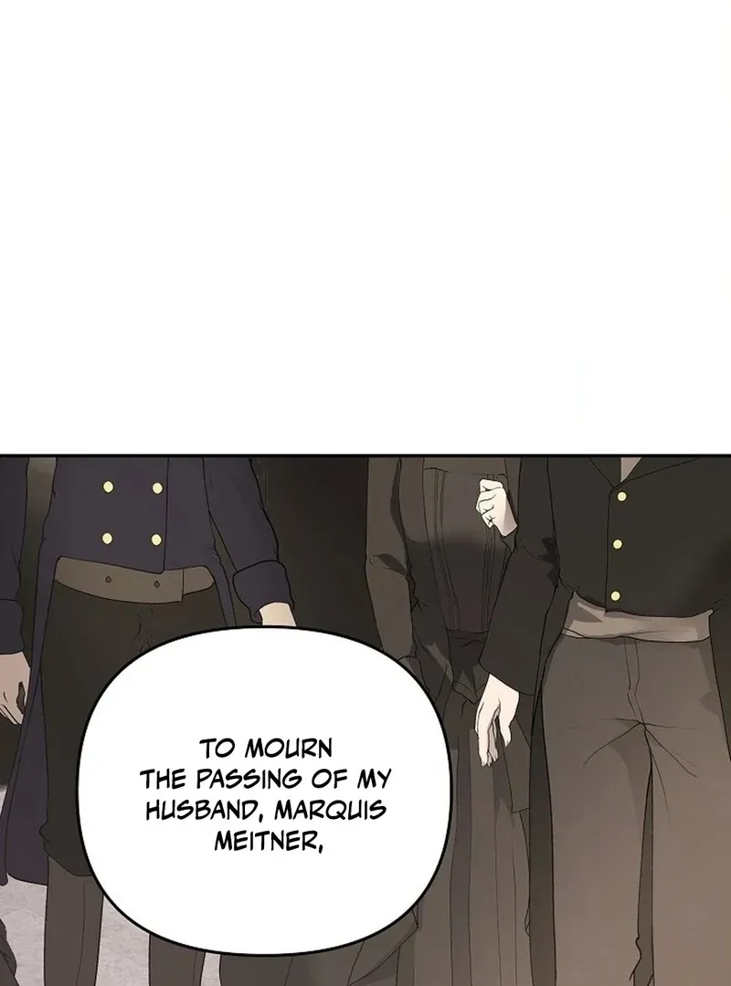 The Funeral of Count Mightner Chapter 1 page 41 - 