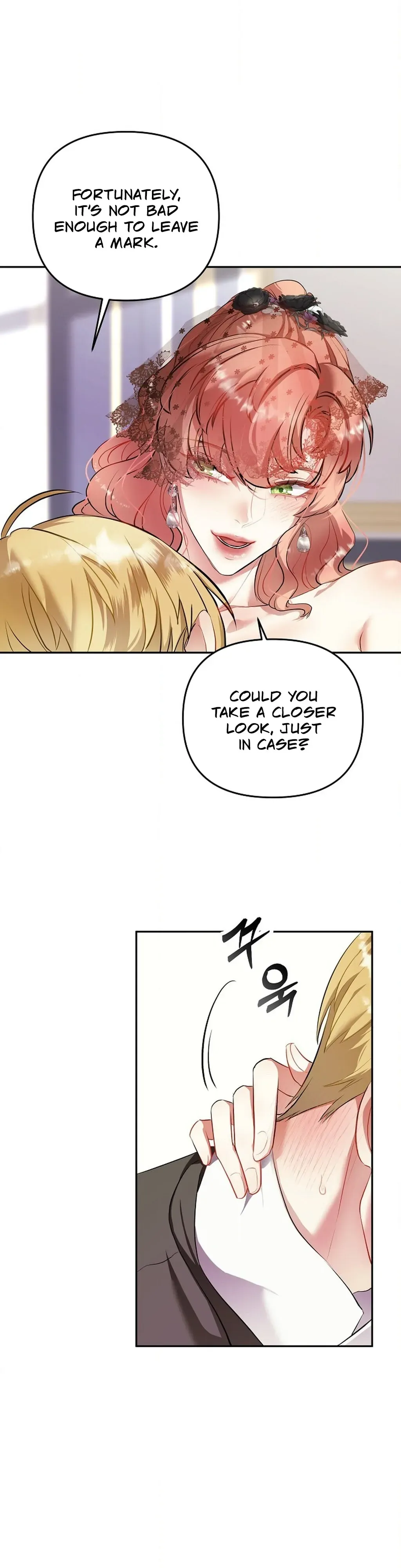 The Funeral of Count Mightner Chapter 2 page 13 - 