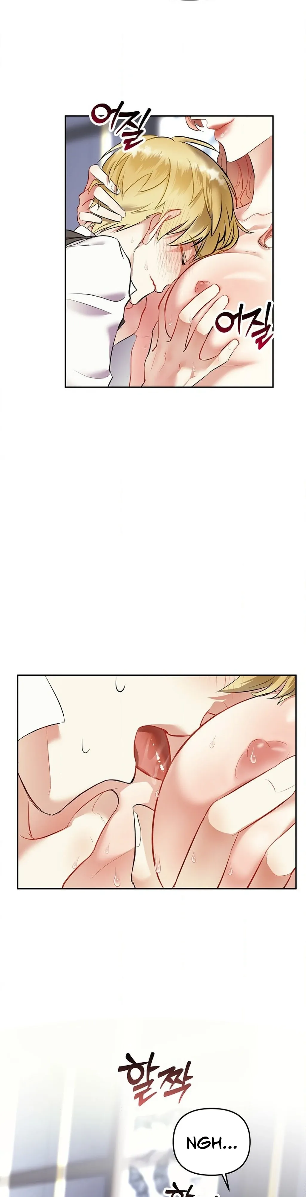 The Funeral of Count Mightner Chapter 2 page 16 - 